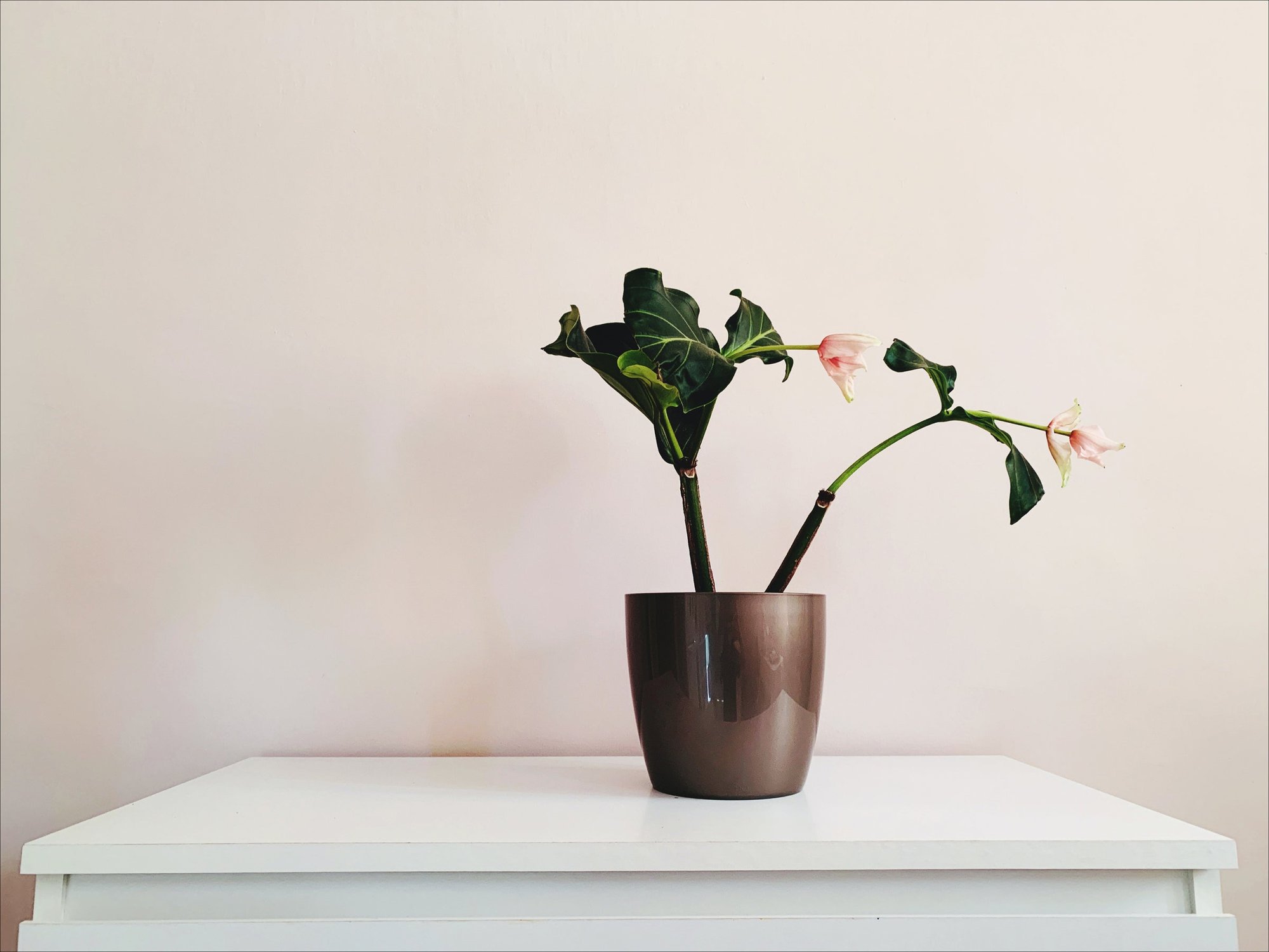Innovative Furniture Designs Worth Your Investment